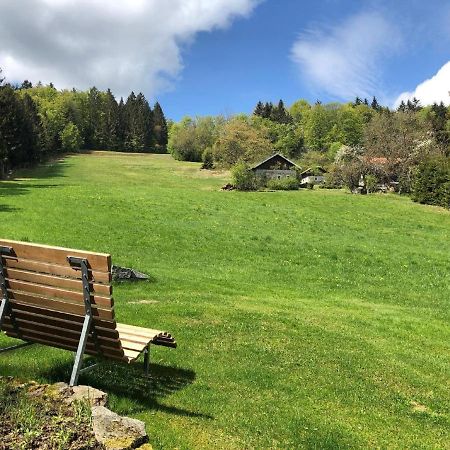 Haus An Der Bergwiese Waldkirchen Esterno foto