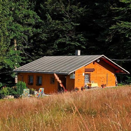 Haus An Der Bergwiese Waldkirchen Esterno foto