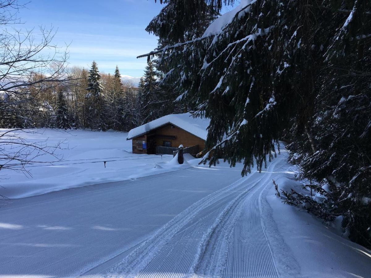 Haus An Der Bergwiese Waldkirchen Esterno foto